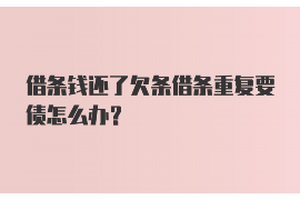 皋兰遇到恶意拖欠？专业追讨公司帮您解决烦恼